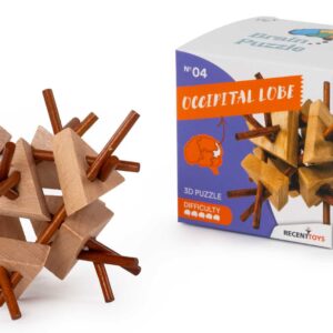 Occipital Lobe, Brainpuzzel 4 Recent-FSC